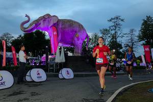 BIB: 
                            <button type="button" onclick="openModal(26529710)" class="btn btn-primary btn-sm float-right btn-popup" data-toggle="modal" data-target=".modal-high-quality">
                        <i class="fas fa-shopping-cart"></i> Add to Cart
                    </button>
                                            <button type="button" onclick="isThisMe(26529710, true)" class="btn btn-success btn-sm float-right btn-popup btn-isme hidden" data-toggle="tooltip" data-placement="bottom" title="นี่คือรูปของคุณใช่ไหม คลิกที่นี่เพื่อเอาเข้าอัลบั้ม">
                        <i class="fas fa-plus"></i> Add to album
                    </button>
                    <button type="button" onclick="isThisMe(26529710, false)" class="btn btn-warning btn-sm float-right btn-popup btn-isnotme hidden">
                        <i class="fas fa-ban"></i> Remove from album
                    </button>